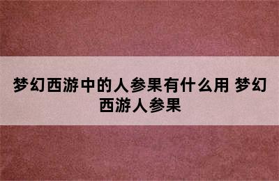 梦幻西游中的人参果有什么用 梦幻西游人参果